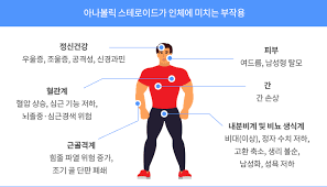 스테로이드약물이란 효능작용기전:근육량 심혈관계 면역력 염증반응 부신피질호르몬