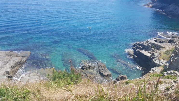  물놀이야