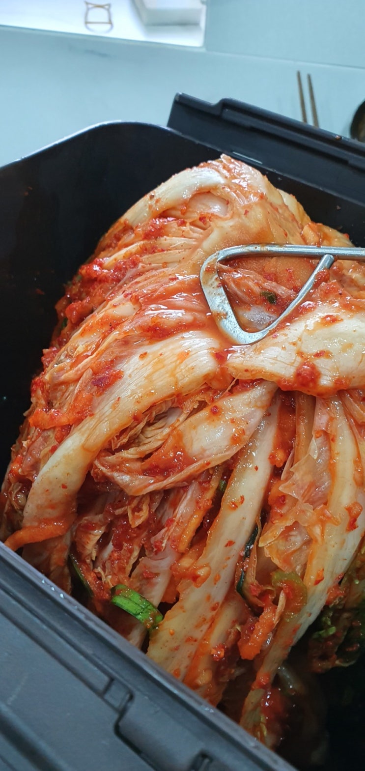  (내돈내산) 2016김치품평회 대상받은 안동 학가산김치, 모든 재료가 국내산~!