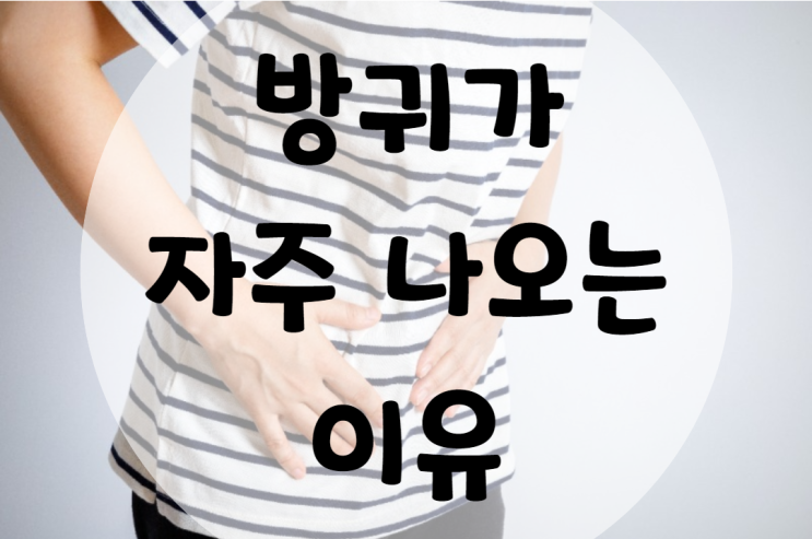  방귀가 자주 나오는 이유 읽어보세요