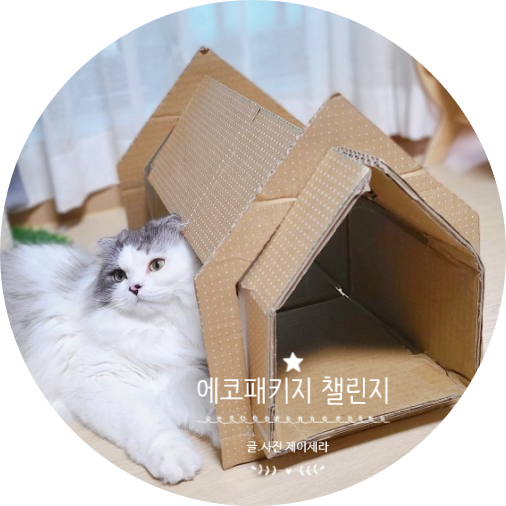 삼성닷컴 에코패키지 챌린지로 사랑하는 냥이들에게 고양이 집을 직접 만들어줬어요 (feat. 환경보호)