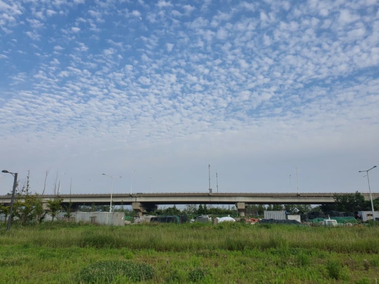  구름이 꿈꾸는 세상