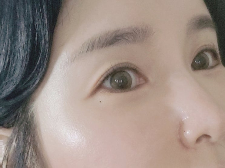 브라운 렌즈 일회용 렌즈 추천 렌즈미 1 + 1 내돈 후기 브라운 렌즈 일회용 렌즈 추천 렌즈미 1 + 1 내돈 후기