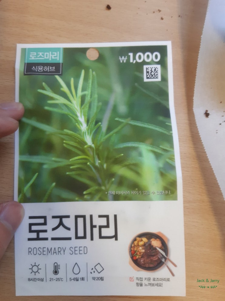  다이소 DIY 로즈마리 키우기!! 도전 1일차
