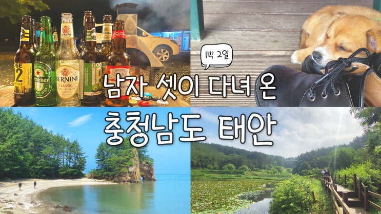  충청남도 태안 가볼만한곳 5곳 추천! 글램핑부터 숨은 명소까지 feat. 이국적인 해변