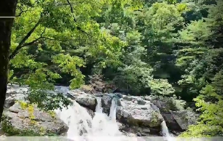  여름엔 계곡이 최고죠! (물과 함께한 순간 블로그씨 답변) 