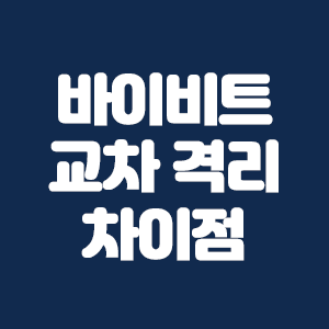  바이비트 교차 격리 차이점