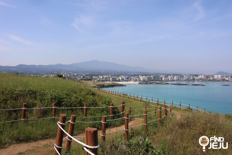  제주 동부 여행 시원함이 느껴지던 함덕해수욕장