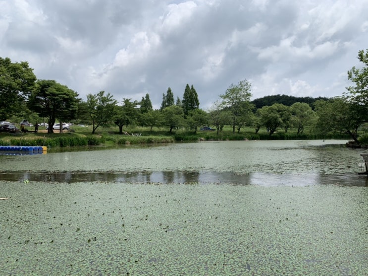 경주여행) 캠핑 클럽에도 나왔던 화랑의 언덕/ 가족끼리 소풍가기 너무 좋아요!/ 양도 있고 말도있고 미니 돼지도있답니다^^