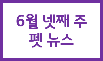  6/4주차 펫뉴스_`동물병원부터 펫택시까지` 반려동물 정보 114에 문의하세요