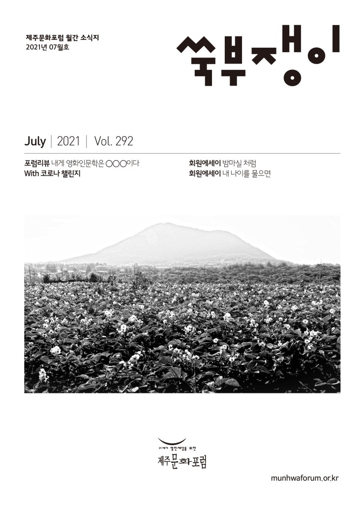  쑥부쟁이292