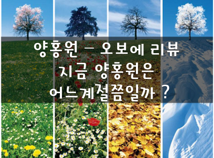 국힙추천(랩추천), 양홍원(영비) 정규 2집 오보에 발매, 오보에 간략 리뷰, YET 아직 가사/뮤비 해석