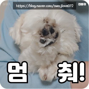  210623 진정이 사진 이모티콘스럽게(?) 해보기(feat. 월루)