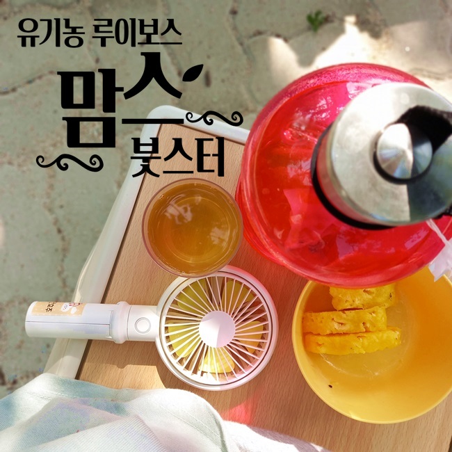 붓기제거 유기농 루이보스 오하티 맛있어