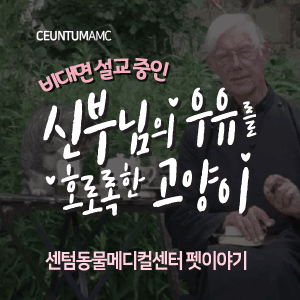  [동물뉴스]비대면 설교 중인 신부님의 우유를 호로록한 고양이
