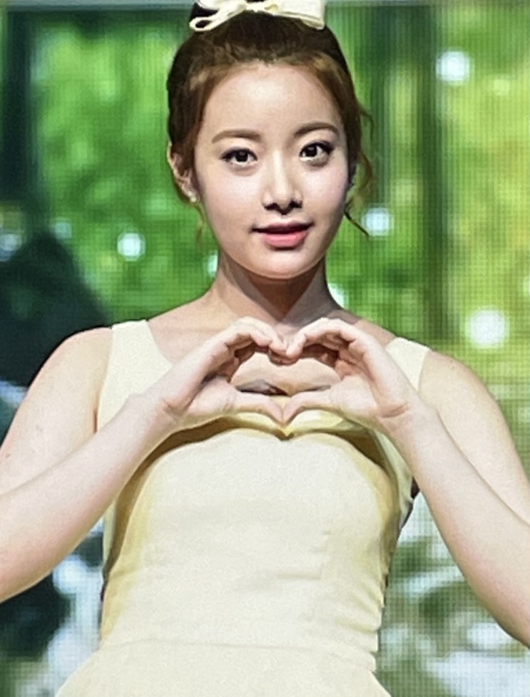 에이프릴 현주 동생 고소 결과 불송치 결정서 전문 내용 정리 에이프릴 현주 동생 고소 결과 불송치 결정서 전문 내용 정리