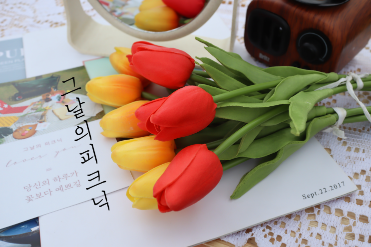  부산시민공원 피크닉 세트 대여는 그날의 피크닉 완전 추천