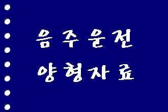  음주운전 반성문 탄원서 (양형자료) 도움받기