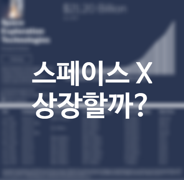 스타링크 스페이스 X 상장 관련주, 일론머스크 트윗 그리고 테슬라 주가는? 미국주식 항공우주 관련주