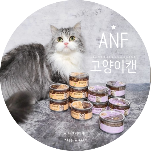 ANF고양이캔 : 음수량과 영양을 함께 챙겨요 (고양이습식)