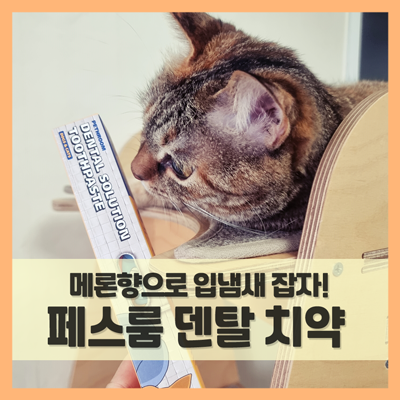  고양이 양치 어려울 땐 바르는 치약 쓰고 입냄새 잡자 (f. 페스룸 덴탈솔루션)