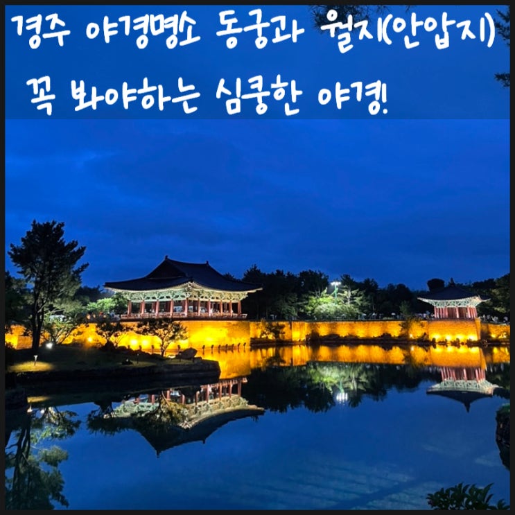  경주 동궁과 월지 이 심쿵한 야경 놓일수 없다 (feat 안압지)