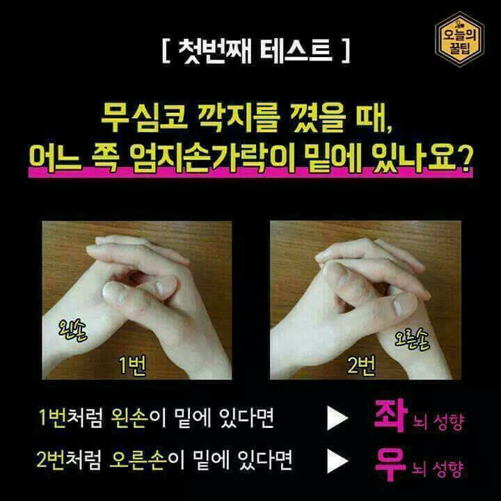  좌뇌형,우뇌형ㆍ심리,성격테스트
