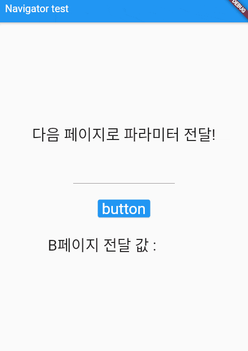  [Flutter] Navigator(Screen movement), send & return parameter