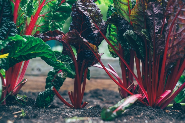 유기농업산업기사 Industrial Engineer Organic Agriculture