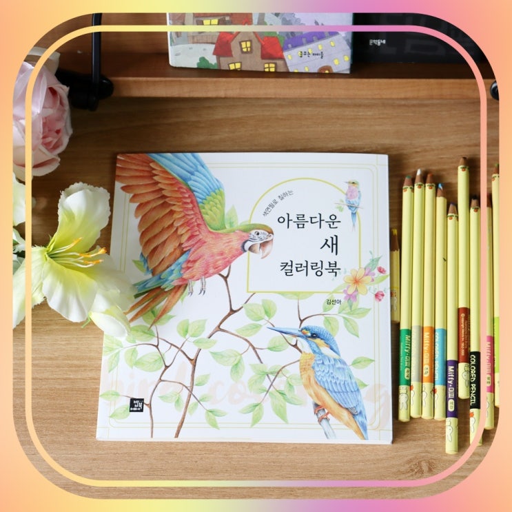 마음을 안정시켜 주는 취미 아름다운 새 컬러링 북