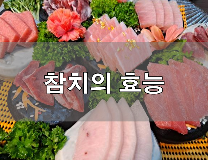  참치의 효능