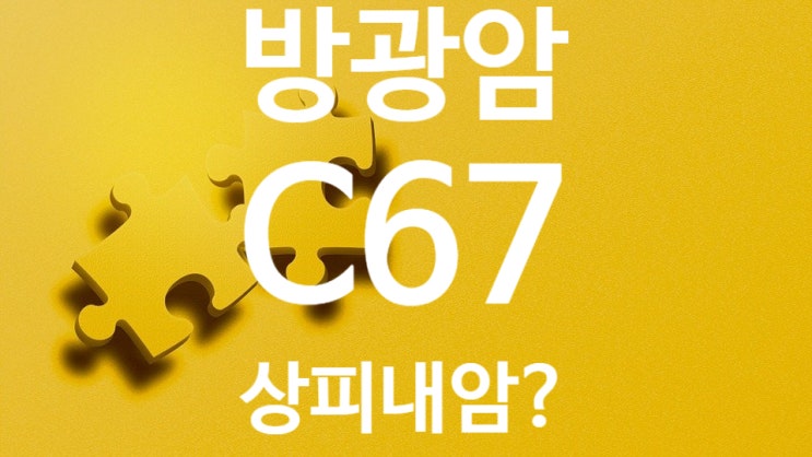 방광암 C67.9분류 의료자문 후 비침윤성 유두상 요로상피암판정, D09 상피내암이 맞나?