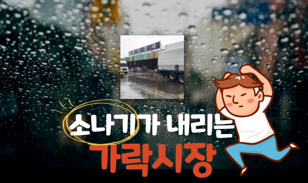  [경매사의 생각] 언제쯤 가락시장이 날씨 변수에서 벗어날까??