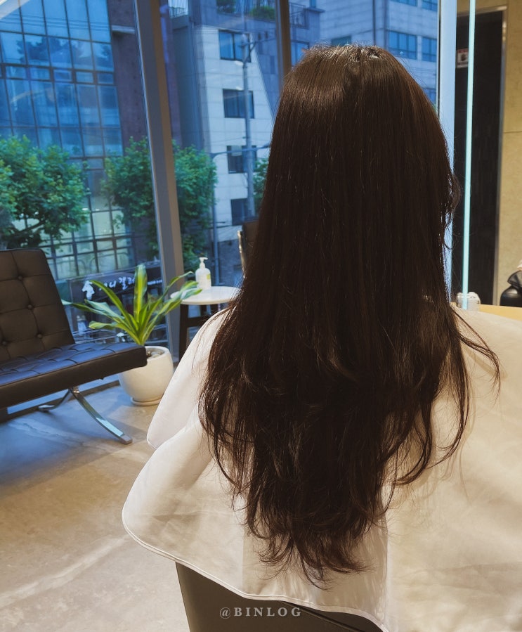  메르세데스펌 후기 ! 홍대미용실 모즈헤어 프리빌레쥬 서교점