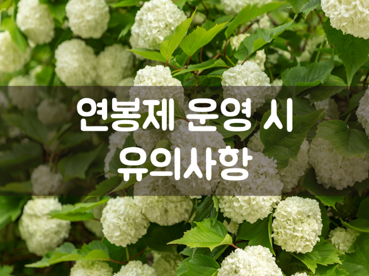  연봉제 운영 시 유의사항
