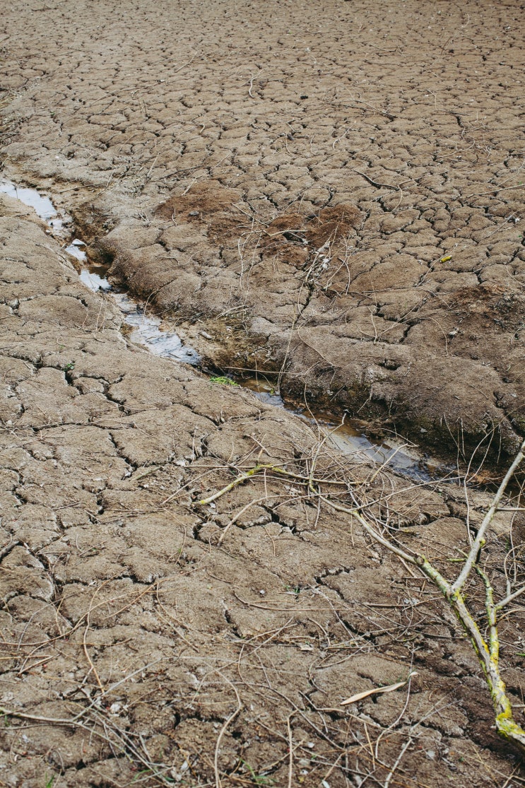토양환경기사 Engineer Soil Environment 토양환경기사 Engineer Soil Environment