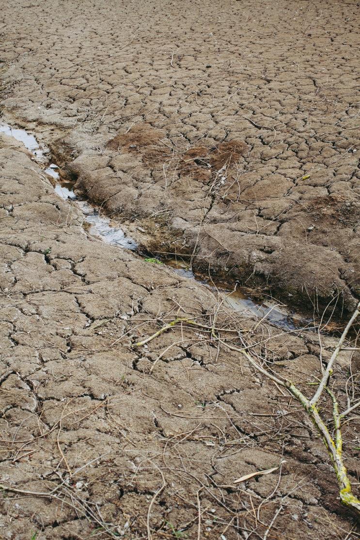 토양환경기사 Engineer Soil Environment