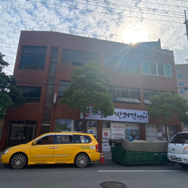 개린이의하루 — 여수시