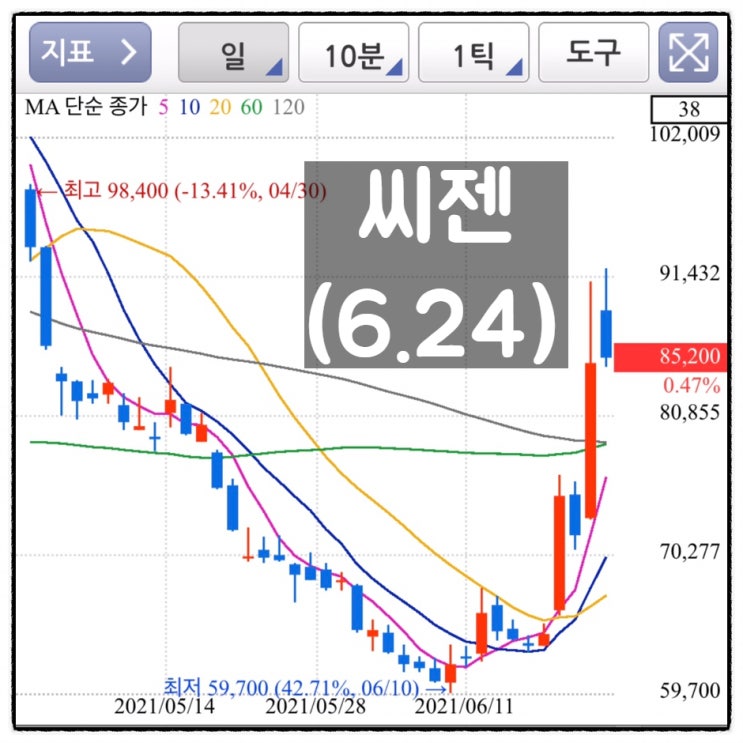  [미자의 주식일기] 씨젠(6.24)