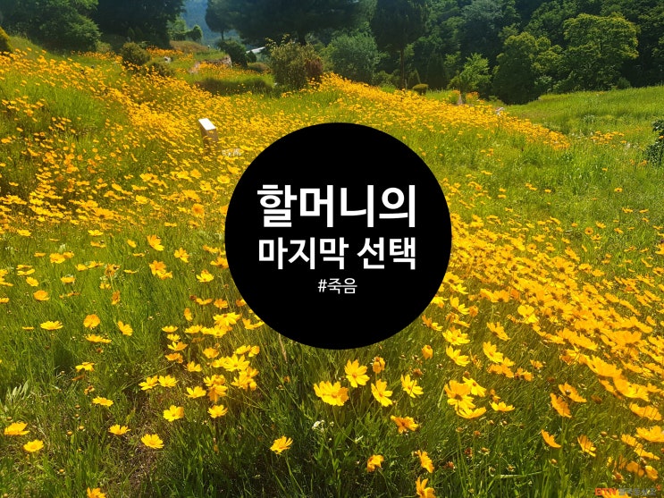  어느 할머니의 마지막 선택...