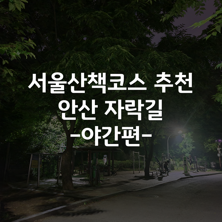  작지만 알찬 서울산책코스 추천 안산 자락길, 트랙킹 코스로도 딱!야간 산책 다녀왔습니다~