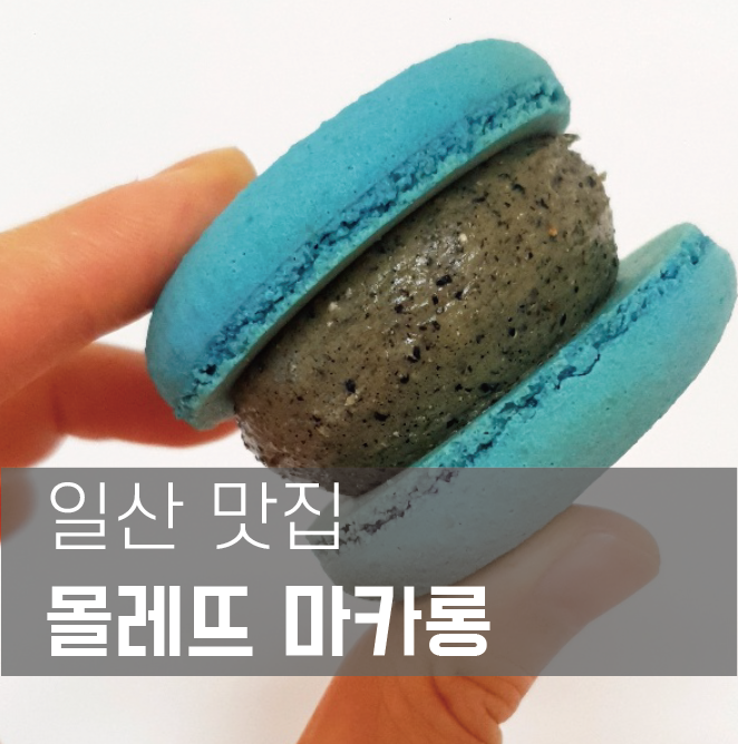 [맛집성지순례] 나만알고 싶은 일산 마카롱맛집 몰레뜨마카롱