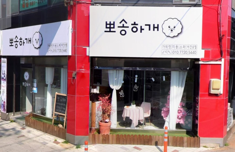 사진 3