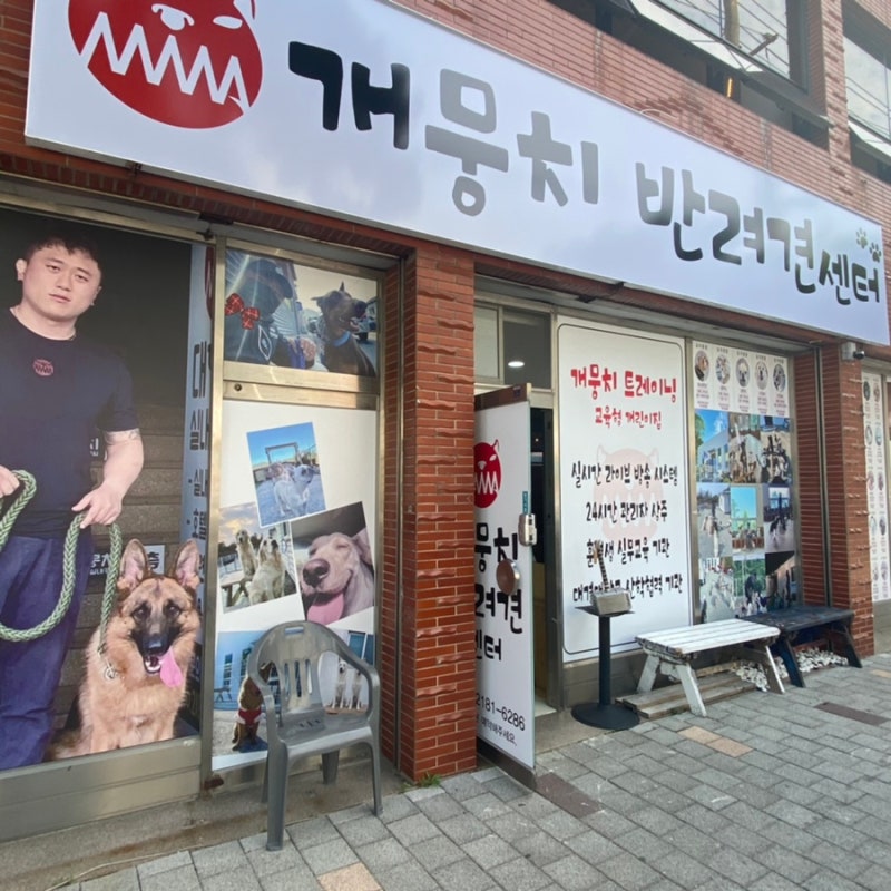 사진 2