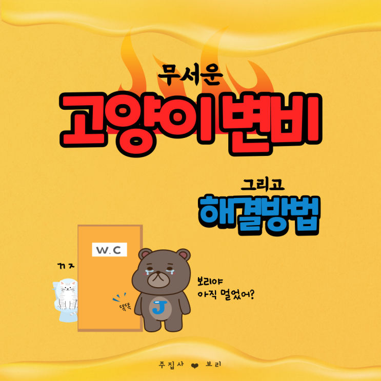  고양이 변비가 무서운 이유와 해결한 방법