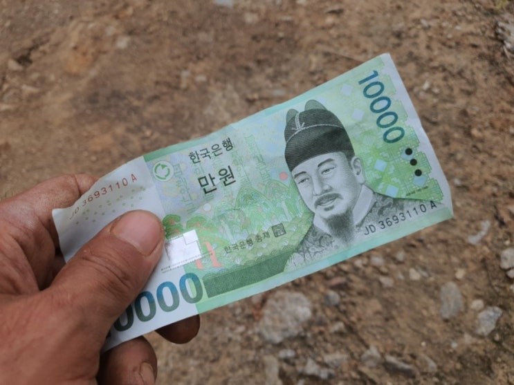 그래도 되는것 그래도 되는것
