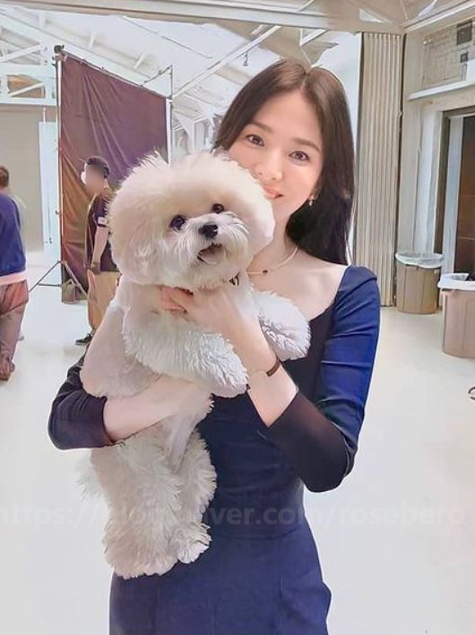  송혜교 패션 목걸이 쇼메 죠세핀 여자 손목 시계 명품 주얼리 브랜드
