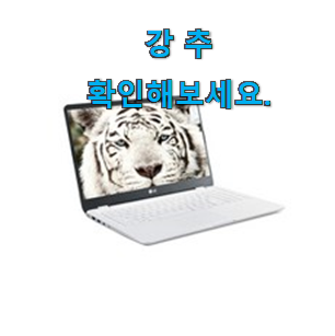센스있는 LG전자 노트북 추천 리스트 강추!