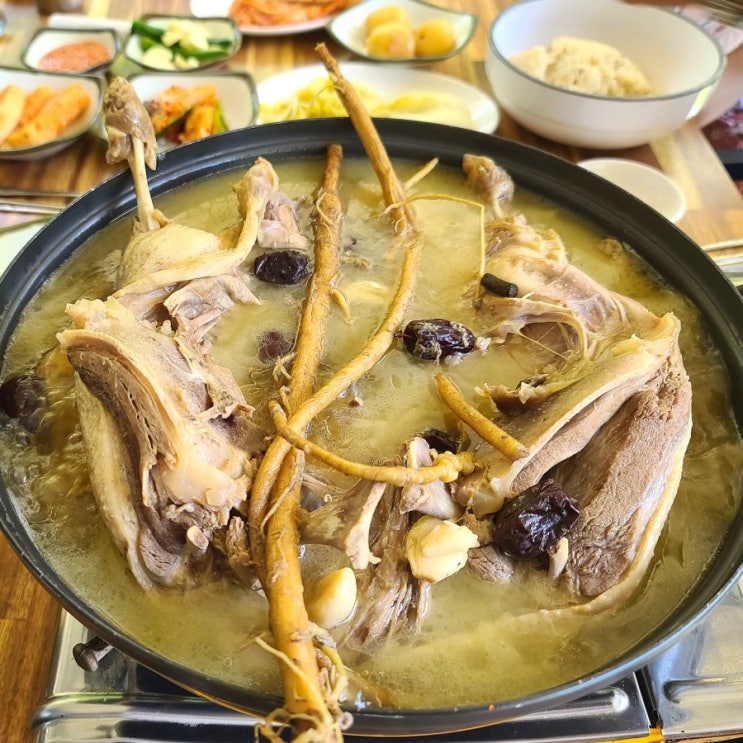  양산 배내골 맛집 예담_ 계곡 옆에서 먹는 보양식 오리백숙