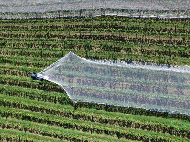 유기농업기사 Engineer Organic Agriculture 유기농업기사 Engineer Organic Agriculture